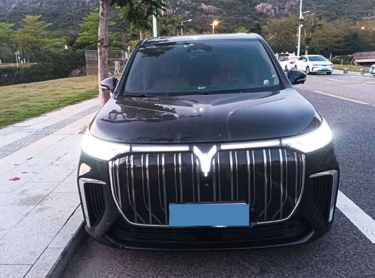 2022 Voyah Dream BEV 82KWH,autocango,china used car exporter,china ev exporter,chinese used car exporter,chinese used ev exporter