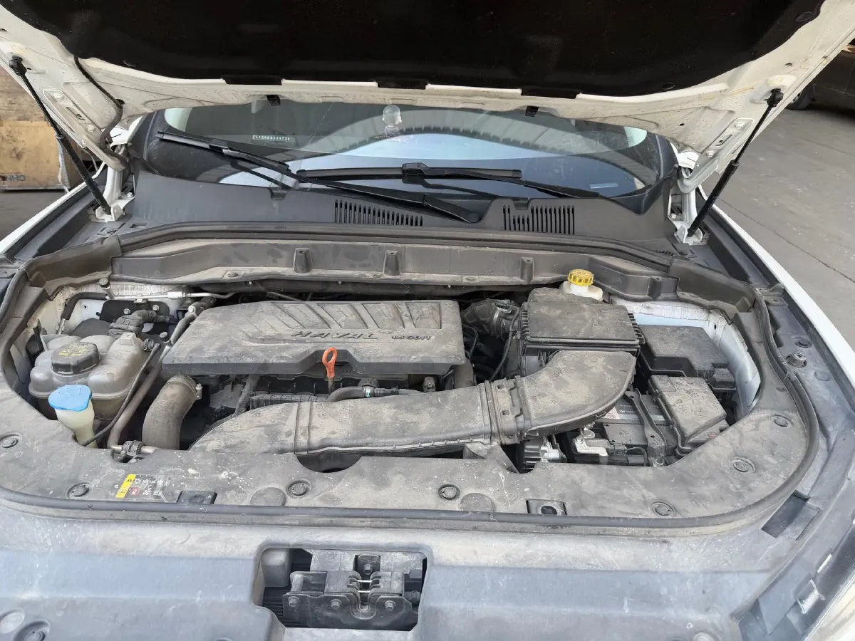 2019 Haval F5 1.5T 169HP L4 7DCT,autocango,china used car exporter,china ev exporter,chinese used car exporter,chinese used ev exporter