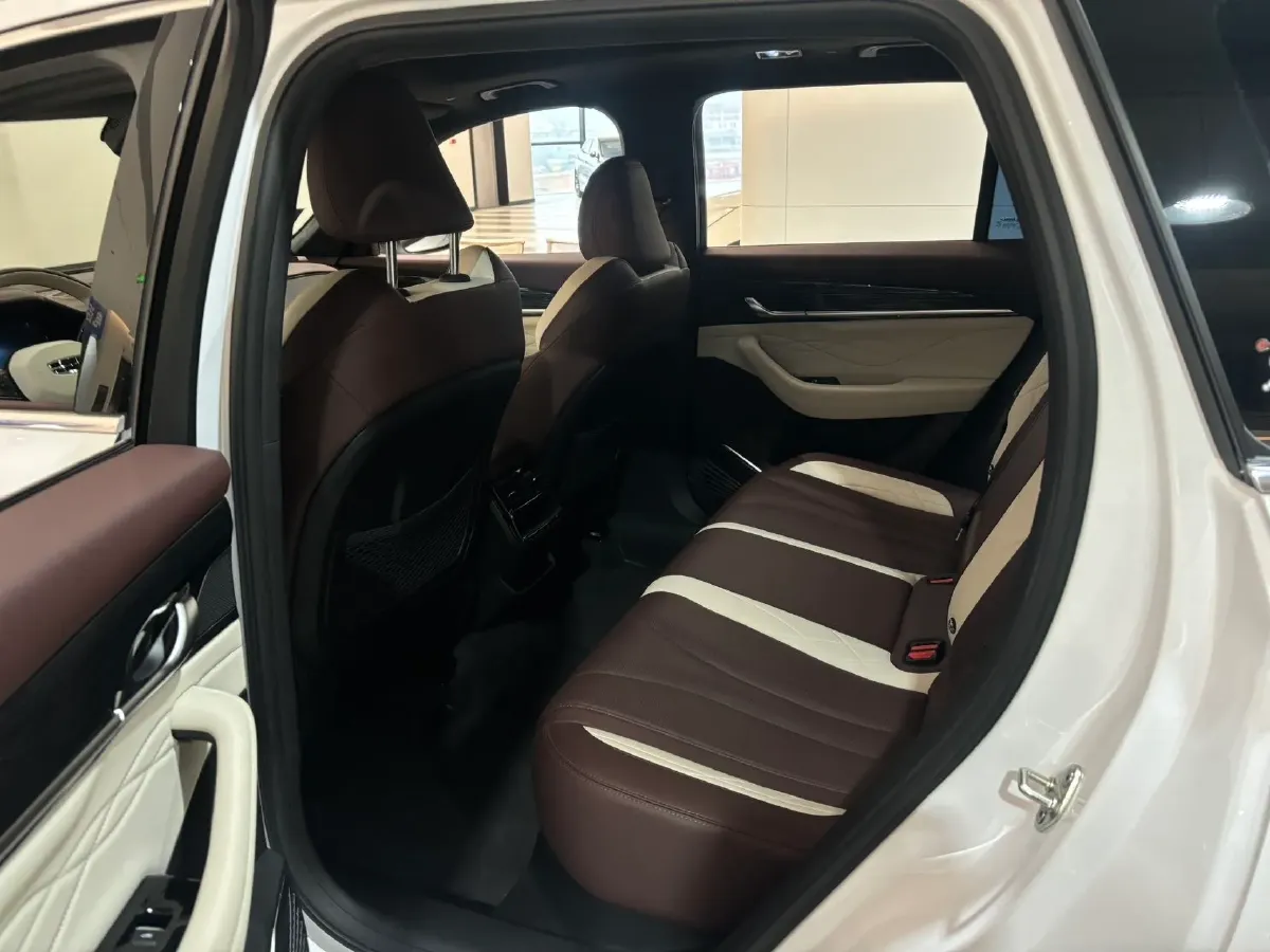 2024 Geely Monjaro 2.0T 238HP L4 8AT,autocango,china used car exporter,china ev exporter,chinese used car exporter,chinese used ev exporter