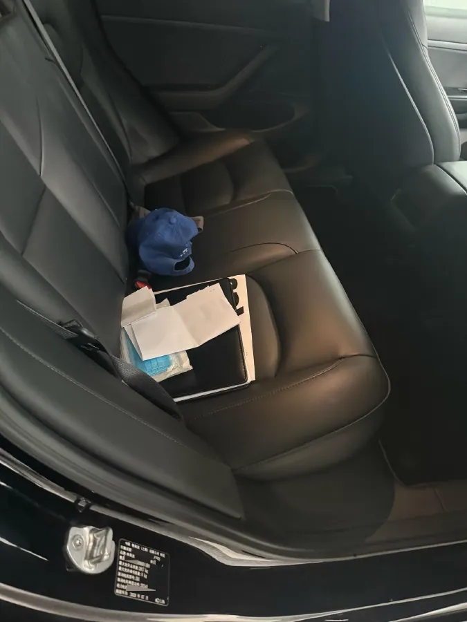 2020 Tesla Model 3 BEV 52KWH,autocango,china used car exporter,china ev exporter,chinese used car exporter,chinese used ev exporter