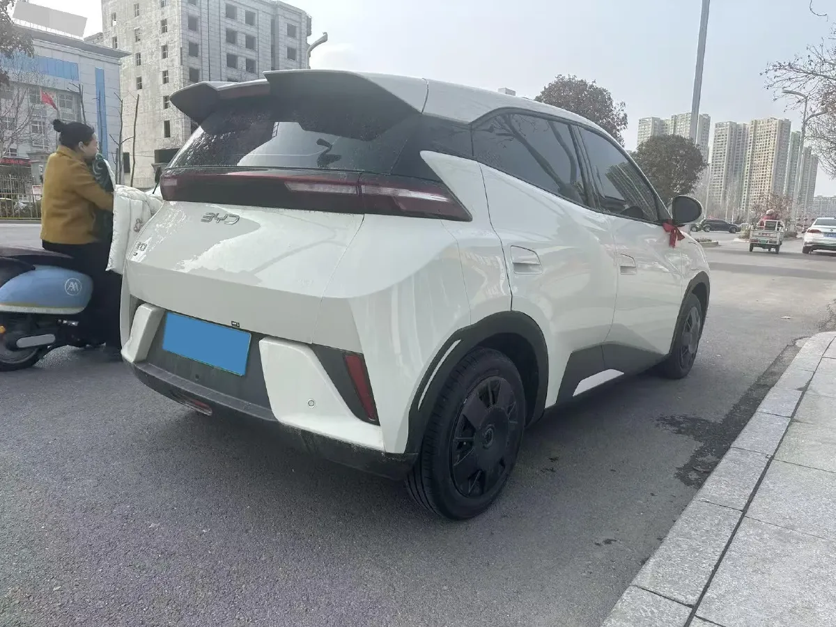 2025 BYD Seagull BEV 30.08KWH,autocango,china used car exporter,china ev exporter,chinese used car exporter,chinese used ev exporter