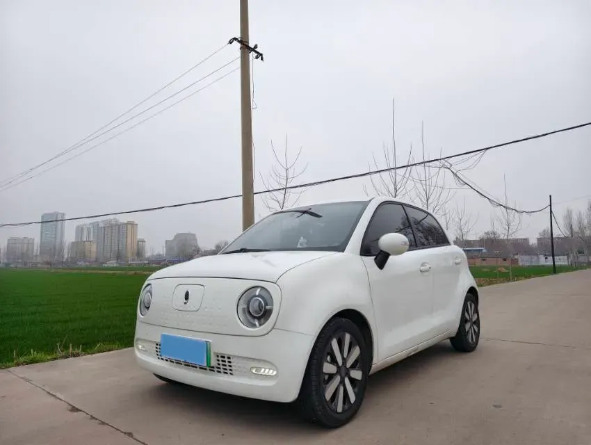 2019 Ora BlackCat BEV 33KWH,autocango,china used car exporter,china ev exporter,chinese used car exporter,chinese used ev exporter
