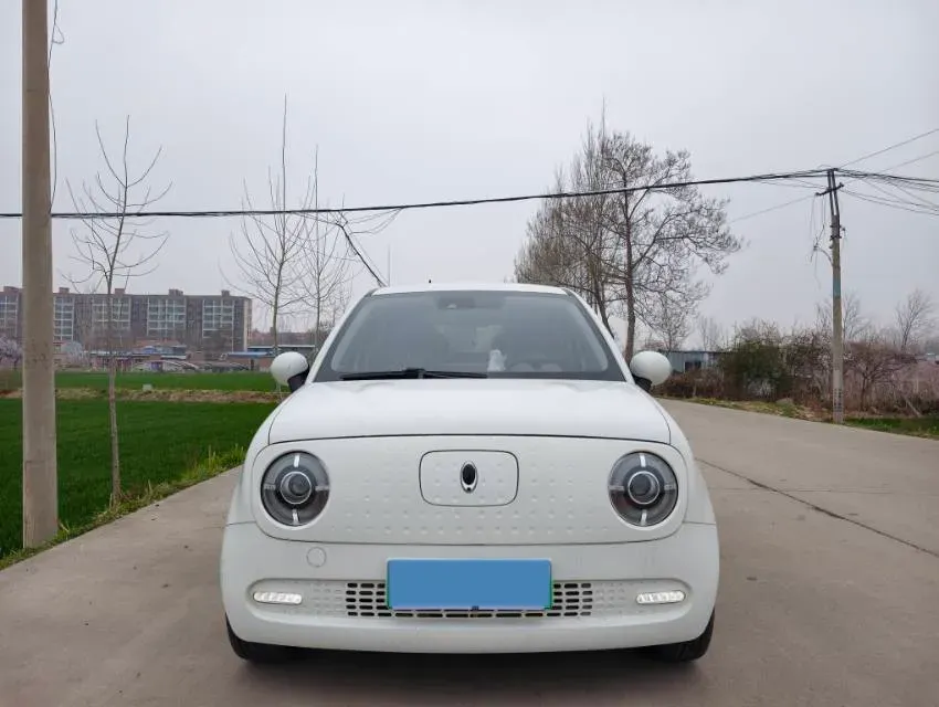 2019 Ora BlackCat BEV 33KWH,autocango,china used car exporter,china ev exporter,chinese used car exporter,chinese used ev exporter