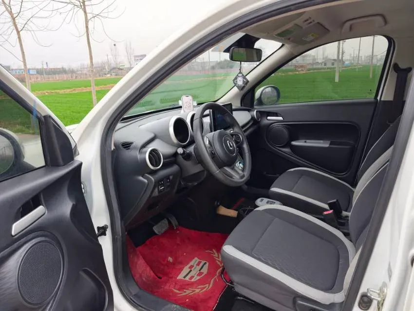 2019 Ora BlackCat BEV 33KWH,autocango,china used car exporter,china ev exporter,chinese used car exporter,chinese used ev exporter