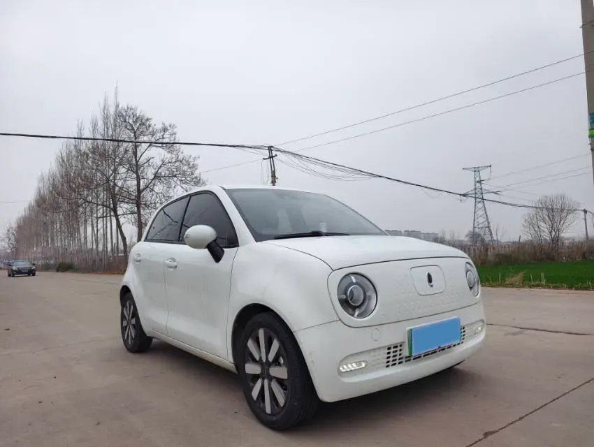 2019 Ora BlackCat BEV 33KWH,autocango,china used car exporter,china ev exporter,chinese used car exporter,chinese used ev exporter