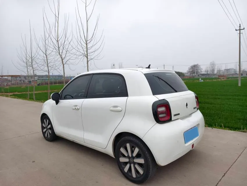 2019 Ora BlackCat BEV 33KWH,autocango,china used car exporter,china ev exporter,chinese used car exporter,chinese used ev exporter