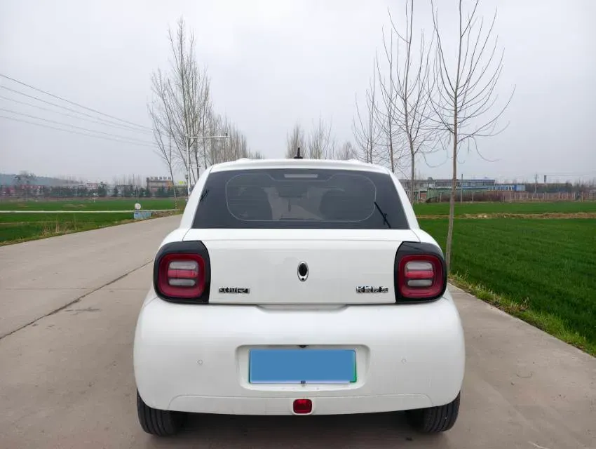 2019 Ora BlackCat BEV 33KWH,autocango,china used car exporter,china ev exporter,chinese used car exporter,chinese used ev exporter