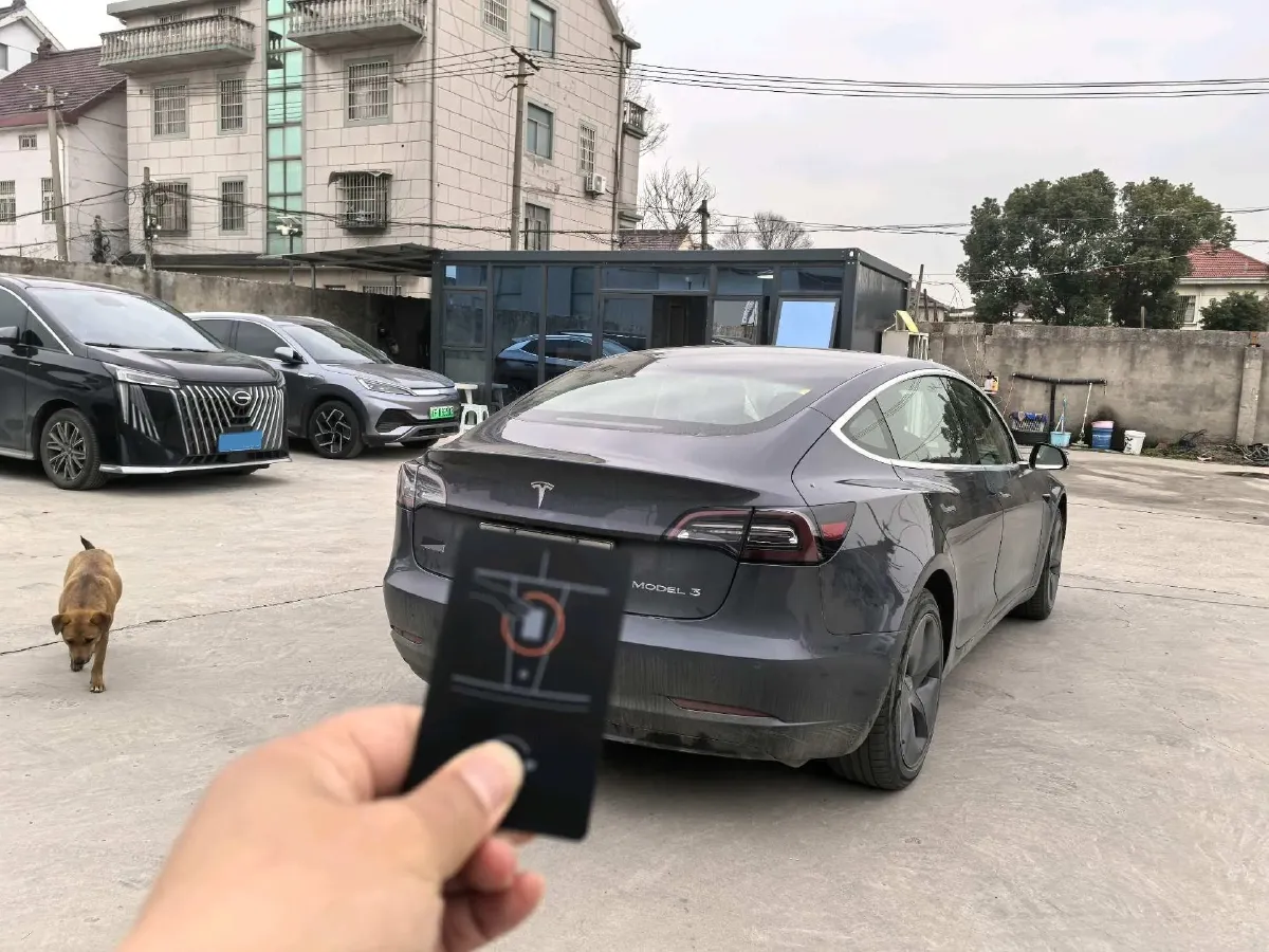 2020 Tesla Model 3 BEV 52KWH,autocango,china used car exporter,china ev exporter,chinese used car exporter,chinese used ev exporter