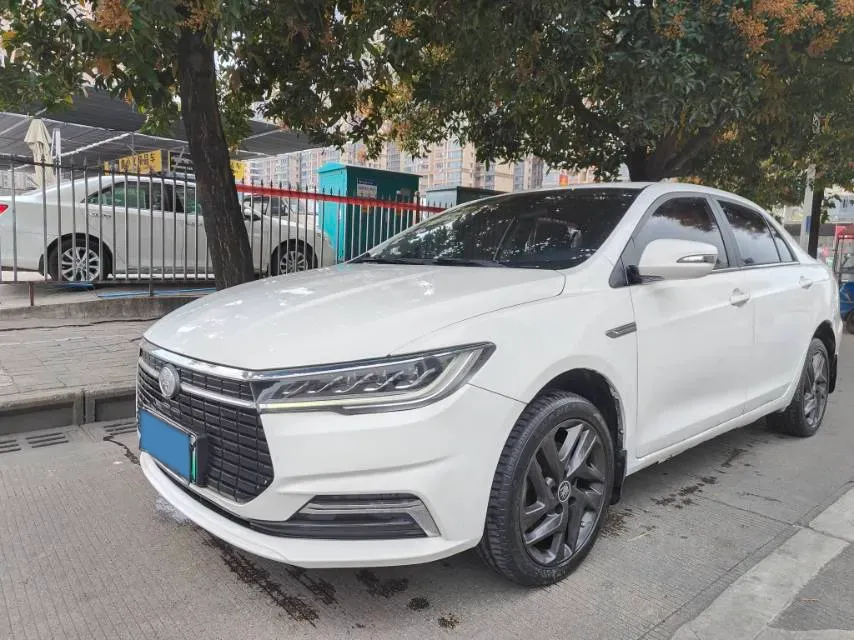 2019 BYD Qin BEV 53.1KWH,autocango,china used car exporter,china ev exporter,chinese used car exporter,chinese used ev exporter