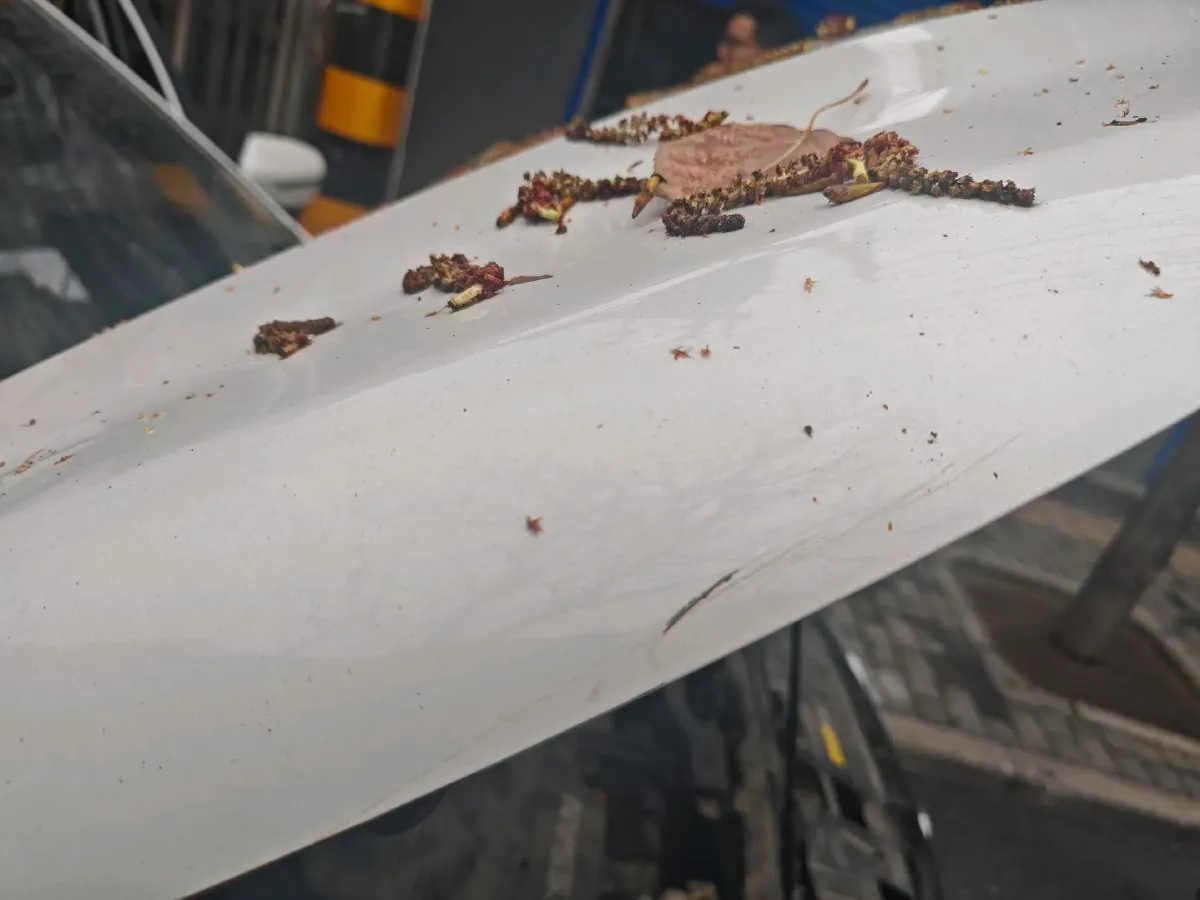 2019 Nissan Qashqai 2.0L 154HP L4 CVT,autocango,china used car exporter,china ev exporter,chinese used car exporter,chinese used ev exporter