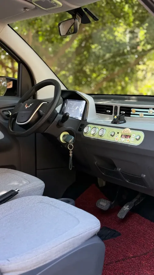 2021 WuLing HongGuang MINI EV BEV 9.3KWH,autocango,china used car exporter,china ev exporter,chinese used car exporter,chinese used ev exporter