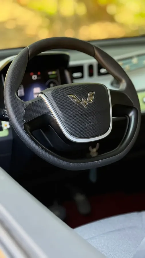 2021 WuLing HongGuang MINI EV BEV 9.3KWH,autocango,china used car exporter,china ev exporter,chinese used car exporter,chinese used ev exporter