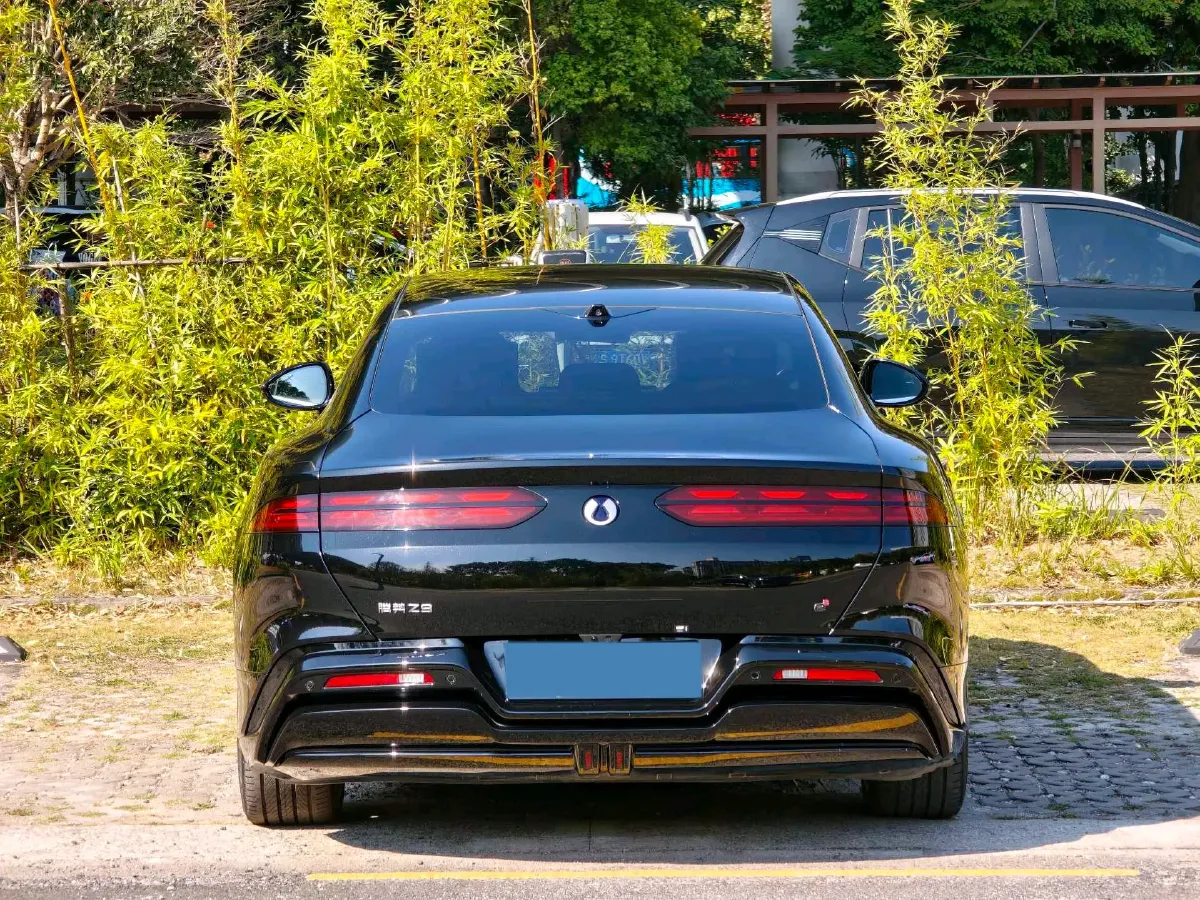 2024 Denza DenzaZ9 2.0T 207HP L4 E-CVT PHEV 38.5KWH,autocango,china used car exporter,china ev exporter,chinese used car exporter,chinese used ev exporter