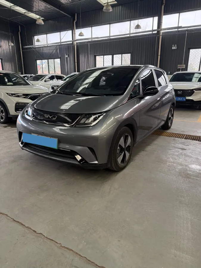 2023 BYD Dolphin BEV 44.928KWH,autocango,china used car exporter,china ev exporter,chinese used car exporter,chinese used ev exporter