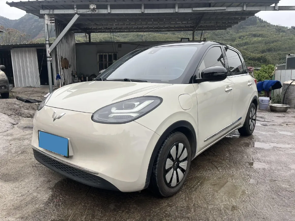 2023 WuLing BinGuo BEV 31.9KWH,autocango,china used car exporter,china ev exporter,chinese used car exporter,chinese used ev exporter