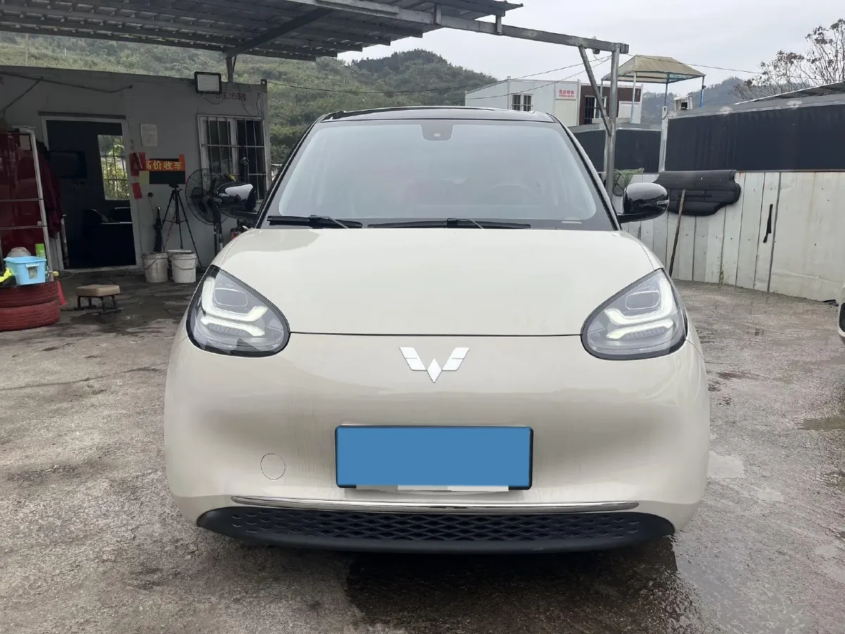 2023 WuLing BinGuo BEV 31.9KWH,autocango,china used car exporter,china ev exporter,chinese used car exporter,chinese used ev exporter