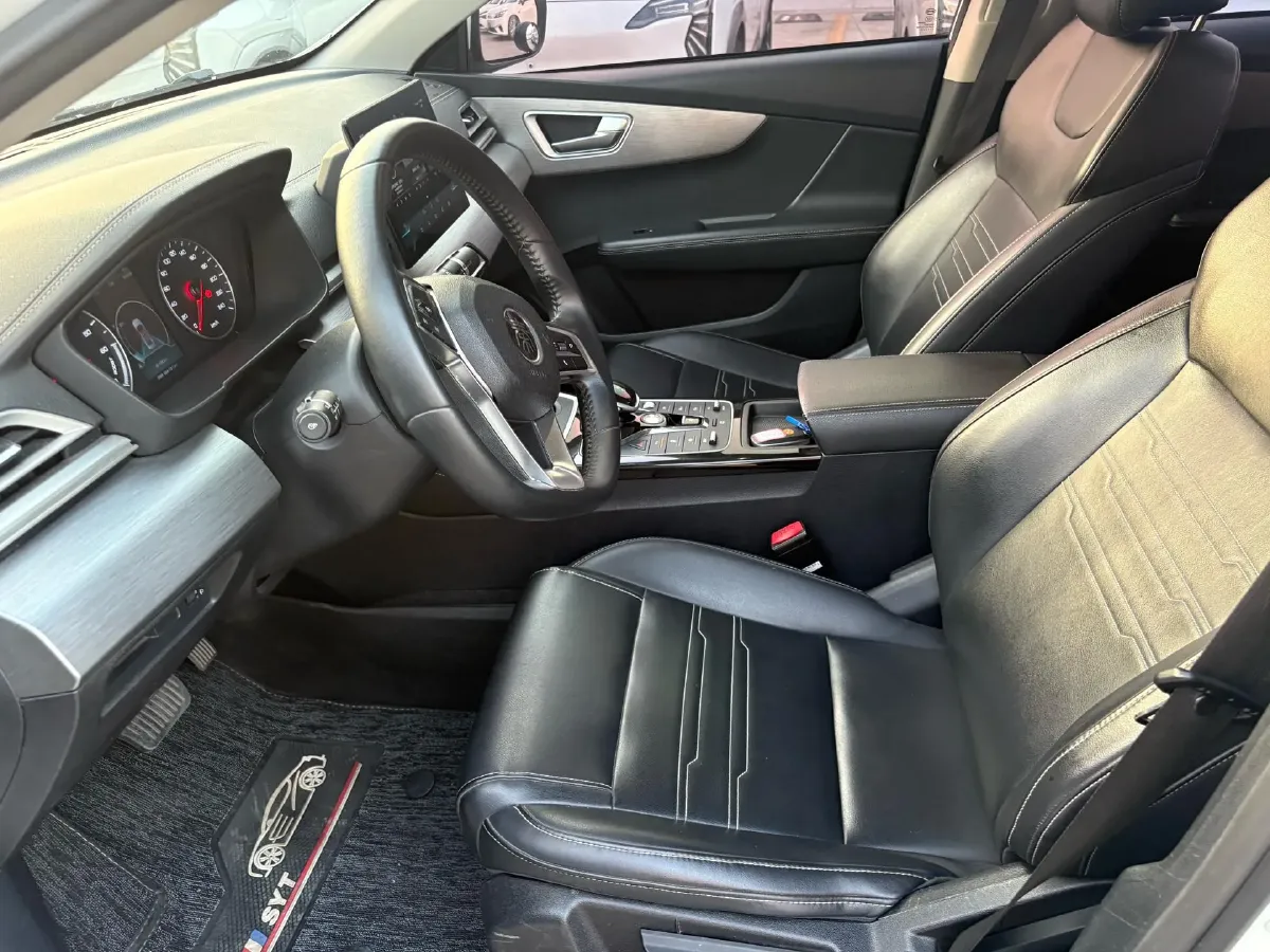 2021 BYD Qin BEV 53.56KWH,autocango,china used car exporter,china ev exporter,chinese used car exporter,chinese used ev exporter