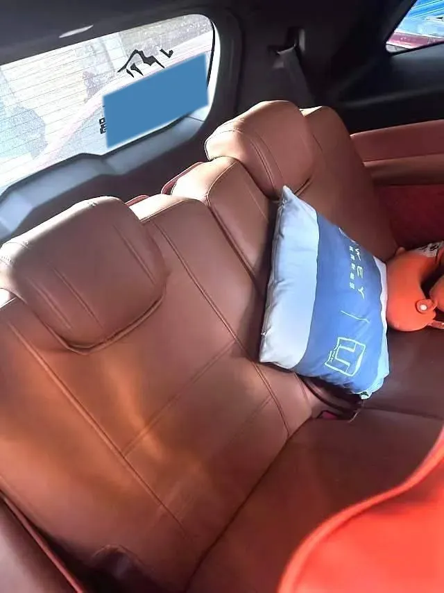 2023 WEY BlueMountain 1.5T 154HP L4 2DHT PHEV 44.5KWH,autocango,china used car exporter,china ev exporter,chinese used car exporter,chinese used ev exporter