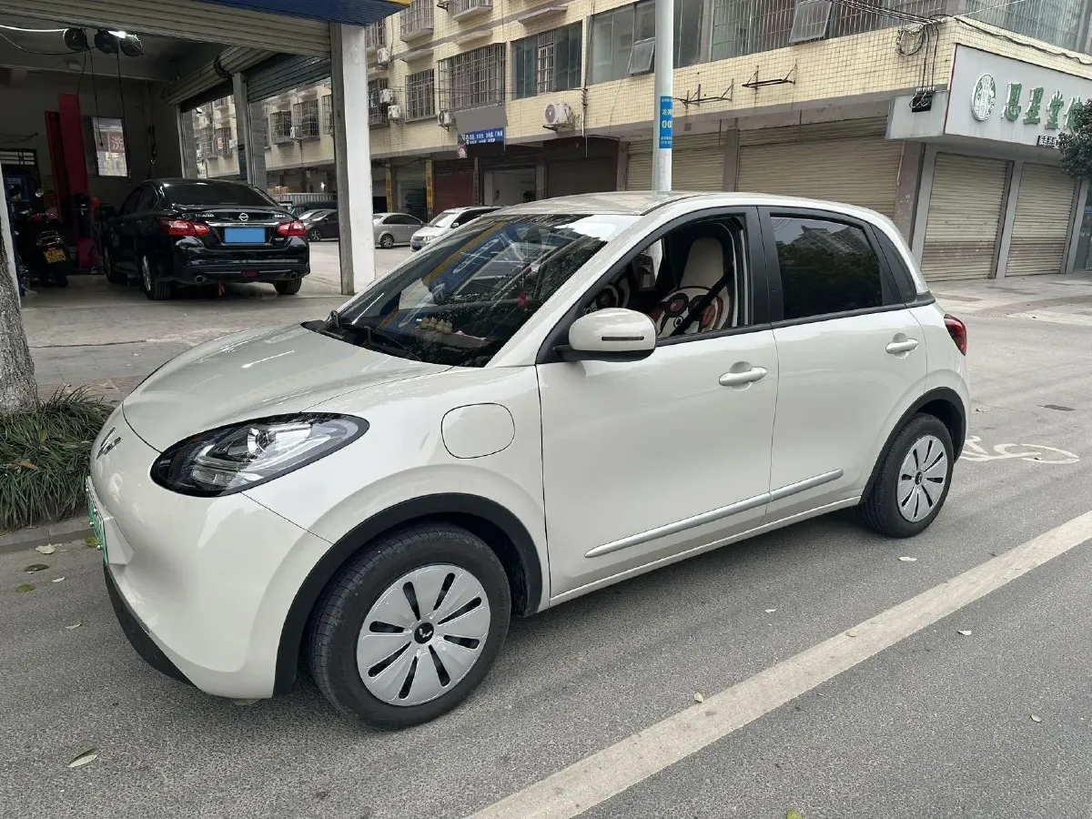 2024 WuLing BinGuo BEV 17.3KWH,autocango,china used car exporter,china ev exporter,chinese used car exporter,chinese used ev exporter