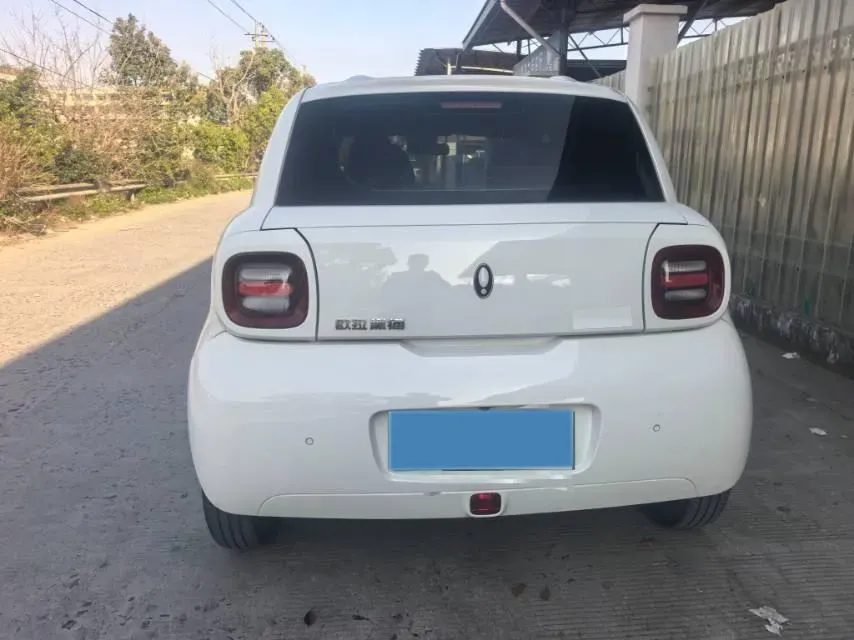 2021 Ora BlackCat BEV 30.3KWH,autocango,china used car exporter,china ev exporter,chinese used car exporter,chinese used ev exporter