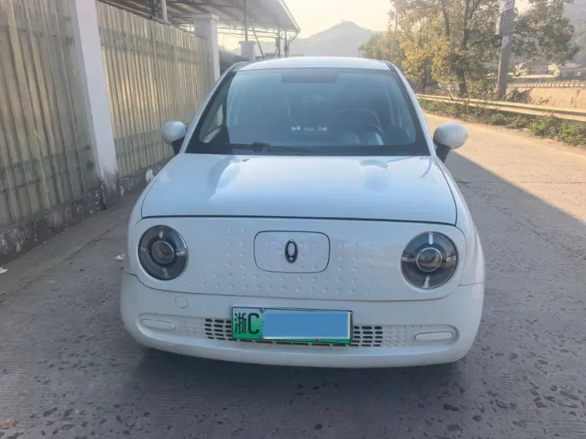2021 Ora BlackCat BEV 30.3KWH,autocango,china used car exporter,china ev exporter,chinese used car exporter,chinese used ev exporter