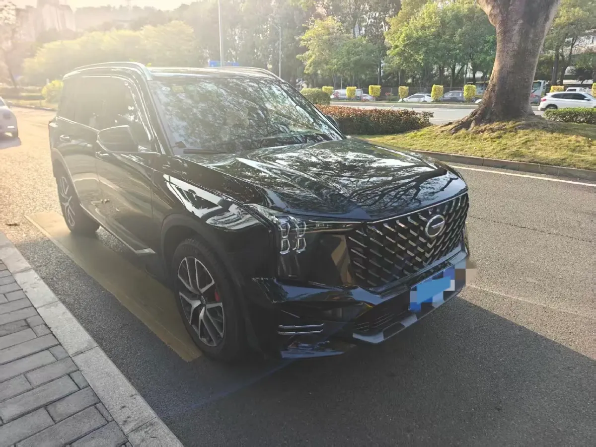 2022 GAC Trumpchi GS8 2.0T 252HP L4 8AT,autocango,china used car exporter,china ev exporter,chinese used car exporter,chinese used ev exporter