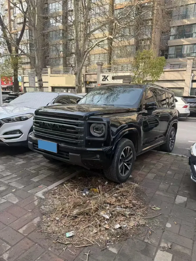 2024 Ford Tourneo 2.0T 220HP L4 9AT,autocango,china used car exporter,china ev exporter,chinese used car exporter,chinese used ev exporter