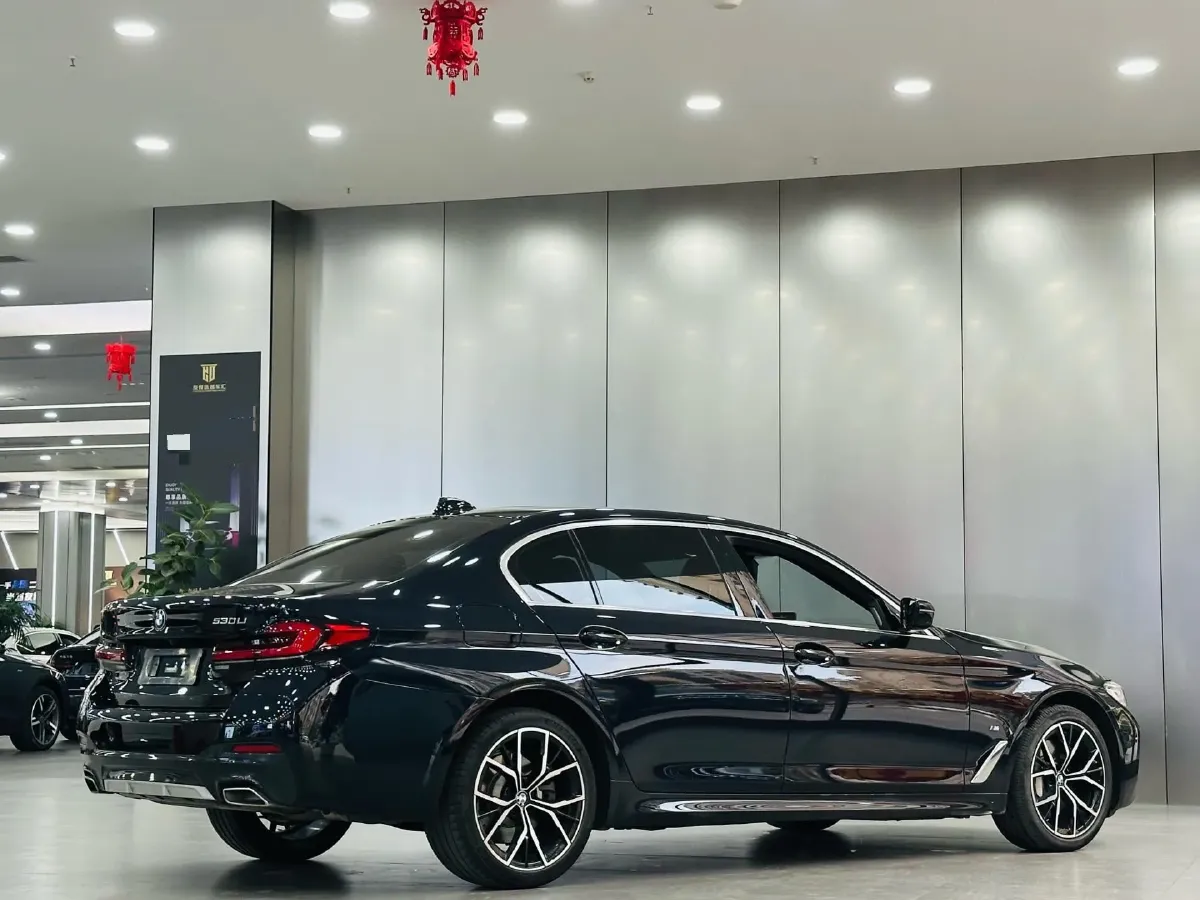 2021 BMW 5 Series 2.0T 252HP L4 8AT,autocango,china used car exporter,china ev exporter,chinese used car exporter,chinese used ev exporter