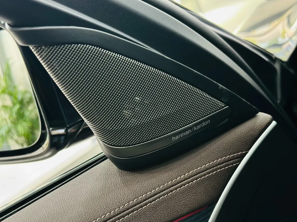 2021 BMW 5 Series 2.0T 252HP L4 8AT,autocango,china used car exporter,china ev exporter,chinese used car exporter,chinese used ev exporter