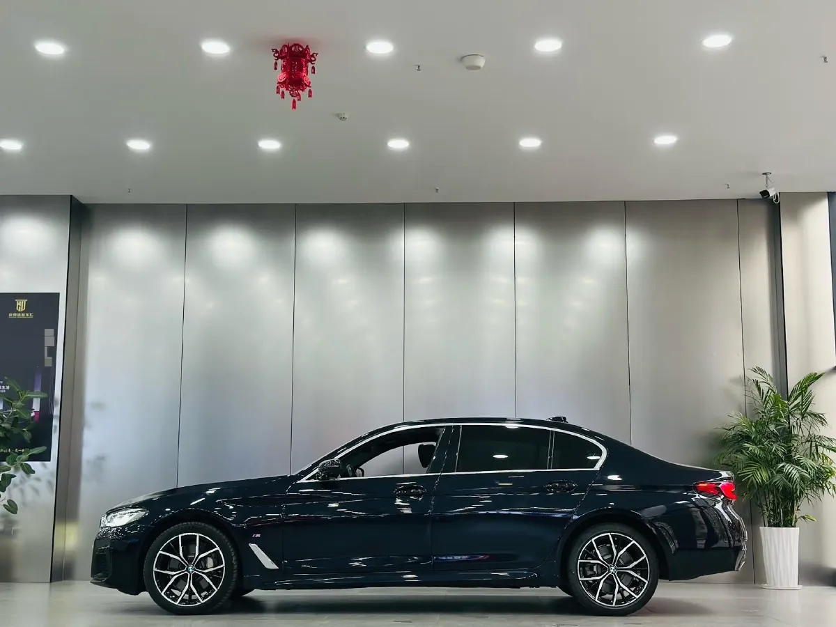 2021 BMW 5 Series 2.0T 252HP L4 8AT,autocango,china used car exporter,china ev exporter,chinese used car exporter,chinese used ev exporter