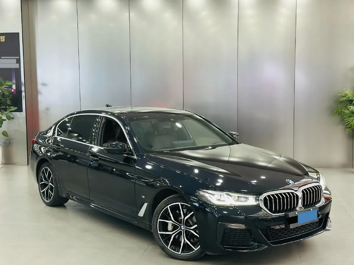 2021 BMW 5 Series 2.0T 252HP L4 8AT,autocango,china used car exporter,china ev exporter,chinese used car exporter,chinese used ev exporter