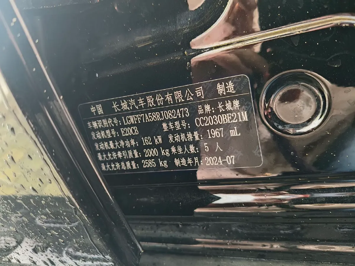 2024 Tank 300 2.0T 227HP L4 8AT,autocango,china used car exporter,china ev exporter,chinese used car exporter,chinese used ev exporter