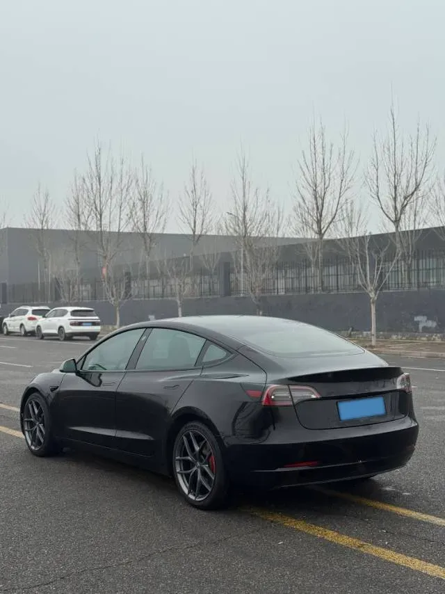 2021 Tesla Model 3 BEV 76.8KWH,autocango,china used car exporter,china ev exporter,chinese used car exporter,chinese used ev exporter