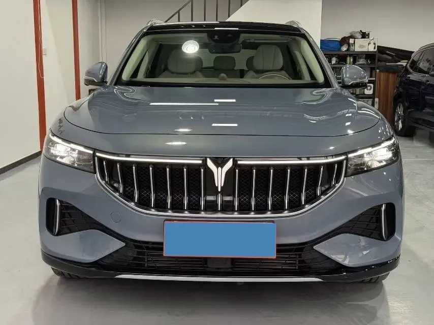 2021 Voyah FREE Range Extended 109HP REEV 33KWH,autocango,china used car exporter,china ev exporter,chinese used car exporter,chinese used ev exporter