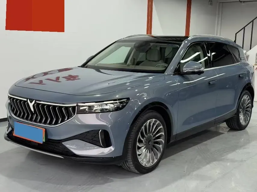 2021 Voyah FREE Range Extended 109HP REEV 33KWH,autocango,china used car exporter,china ev exporter,chinese used car exporter,chinese used ev exporter