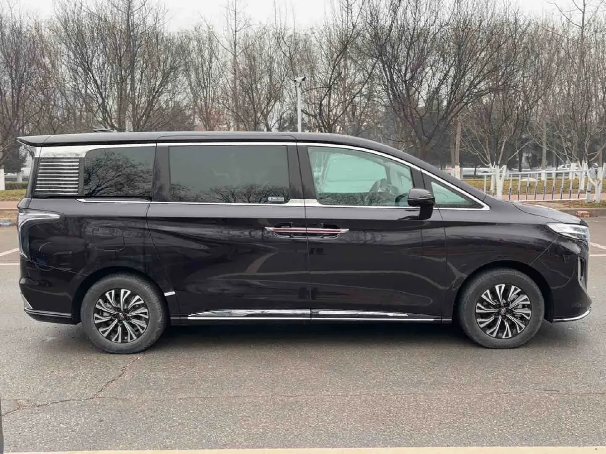 2024 HongQi HQ9 2.0T 163HP L4 1DHT PHEV 20.14KWH,autocango,china used car exporter,china ev exporter,chinese used car exporter,chinese used ev exporter
