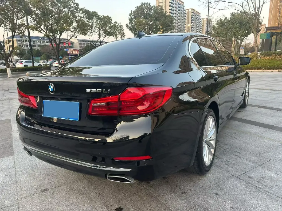 2020 BMW 5 Series 2.0T 252HP L4 8AT,autocango,china used car exporter,china ev exporter,chinese used car exporter,chinese used ev exporter