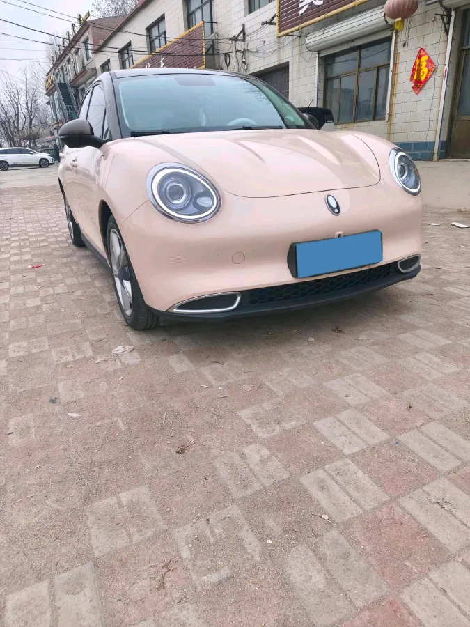 2021 Ora FunkyCat BEV 47.8KWH,autocango,china used car exporter,china ev exporter,chinese used car exporter,chinese used ev exporter