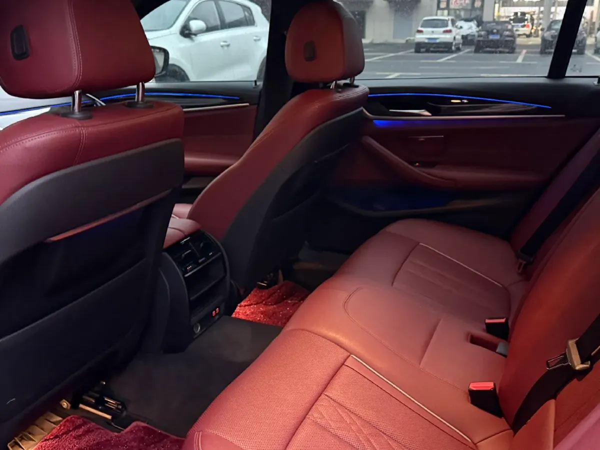 2021 BMW 5 Series 2.0T 184HP L4 8AT,autocango,china used car exporter,china ev exporter,chinese used car exporter,chinese used ev exporter