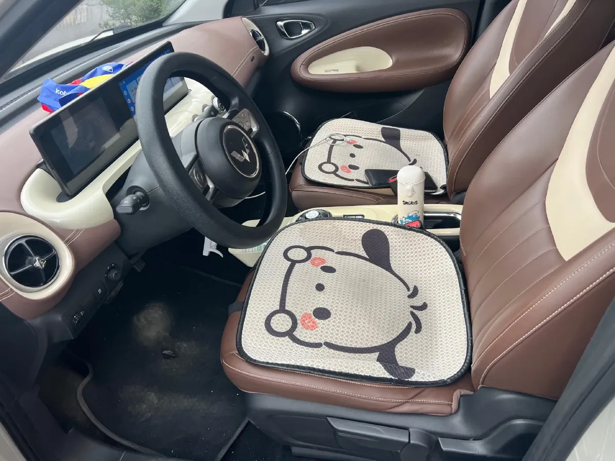 2023 WuLing BinGuo BEV 31.9KWH,autocango,china used car exporter,china ev exporter,chinese used car exporter,chinese used ev exporter