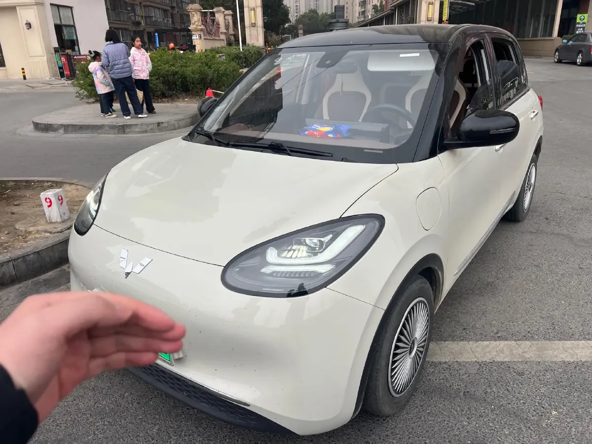 2023 WuLing BinGuo BEV 31.9KWH,autocango,china used car exporter,china ev exporter,chinese used car exporter,chinese used ev exporter
