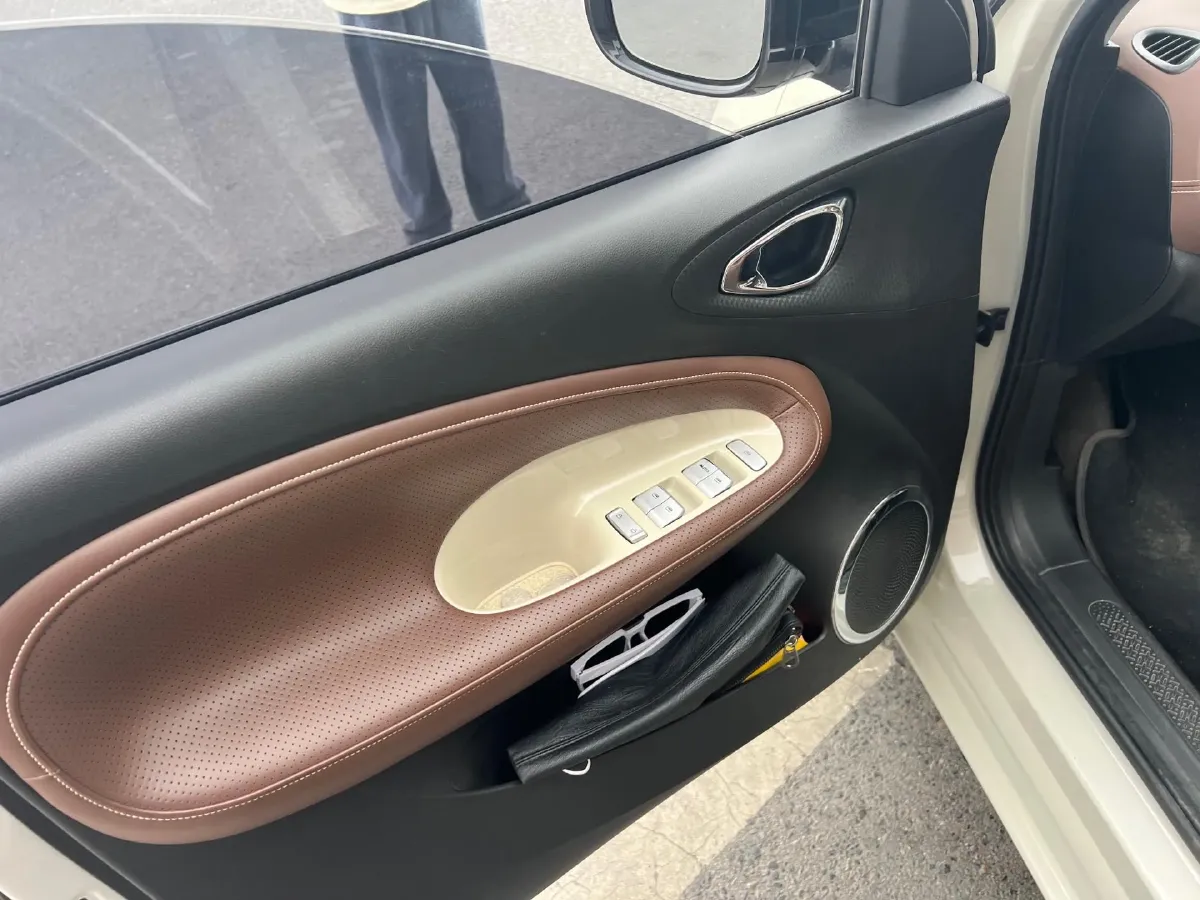 2023 WuLing BinGuo BEV 31.9KWH,autocango,china used car exporter,china ev exporter,chinese used car exporter,chinese used ev exporter