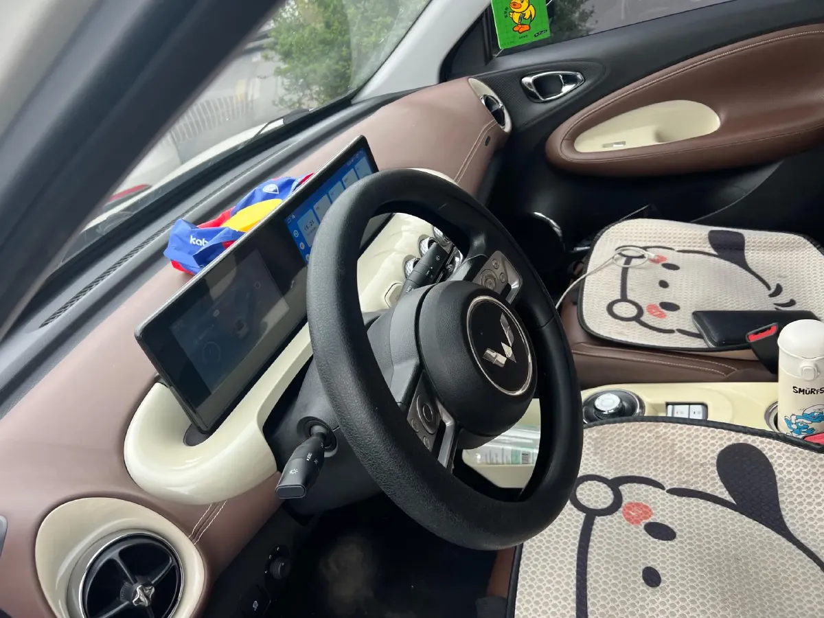 2023 WuLing BinGuo BEV 31.9KWH,autocango,china used car exporter,china ev exporter,chinese used car exporter,chinese used ev exporter