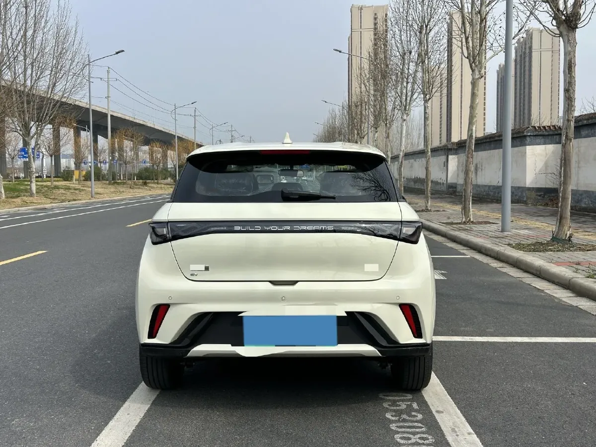 2025 BYD Dolphin BEV 44.928KWH,autocango,china used car exporter,china ev exporter,chinese used car exporter,chinese used ev exporter