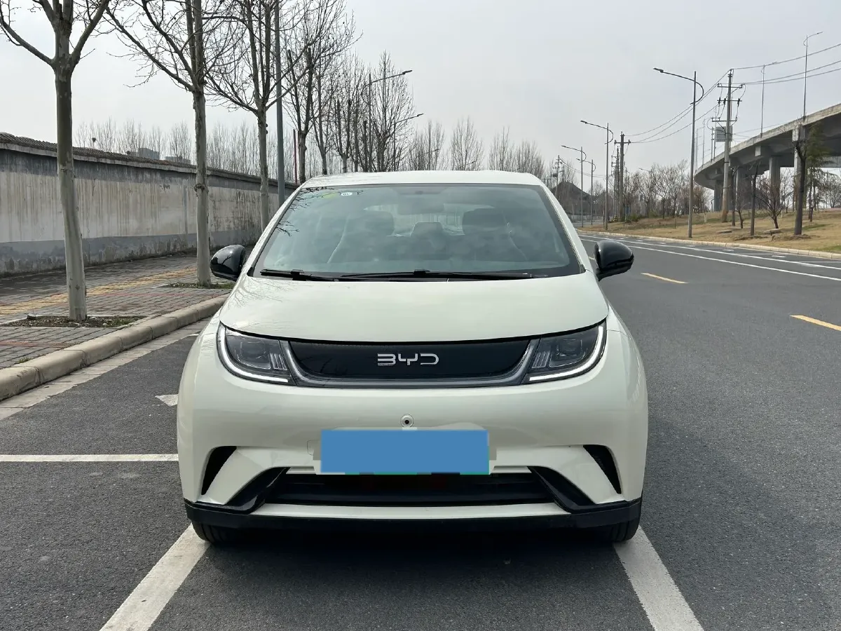 2025 BYD Dolphin BEV 44.928KWH,autocango,china used car exporter,china ev exporter,chinese used car exporter,chinese used ev exporter