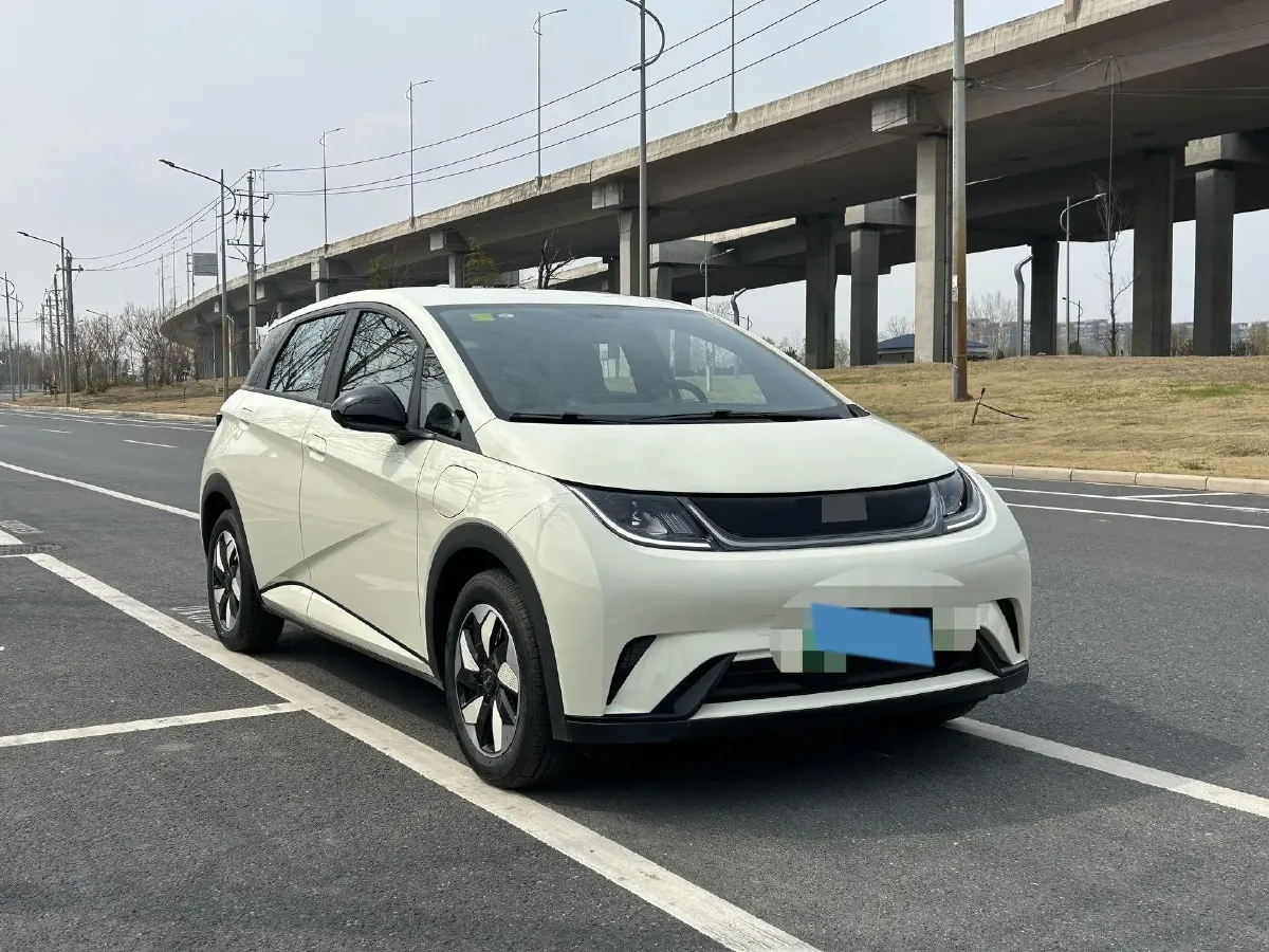 2025 BYD Dolphin BEV 44.928KWH,autocango,china used car exporter,china ev exporter,chinese used car exporter,chinese used ev exporter