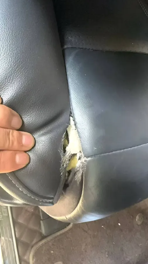 2021 GAC Trumpchi M8 2.0T 252HP L4 8AT,autocango,china used car exporter,china ev exporter,chinese used car exporter,chinese used ev exporter