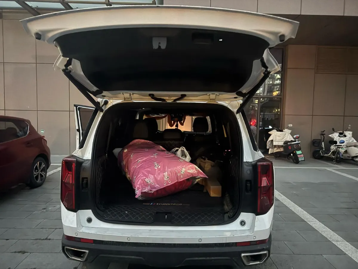 2022 GAC Trumpchi GS8 2.0T 252HP L4 8AT,autocango,china used car exporter,china ev exporter,chinese used car exporter,chinese used ev exporter