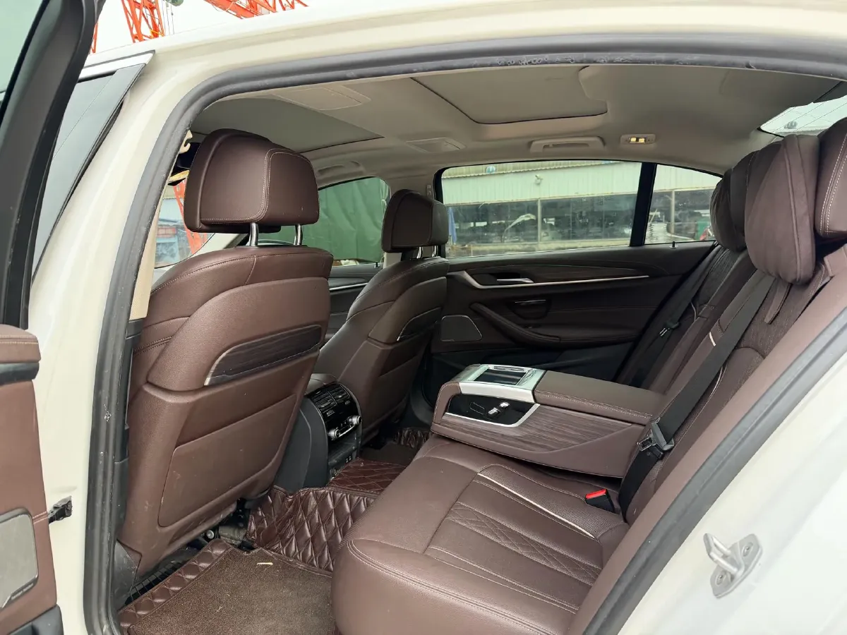 2021 BMW 5 Series 2.0T 252HP L4 8AT,autocango,china used car exporter,china ev exporter,chinese used car exporter,chinese used ev exporter