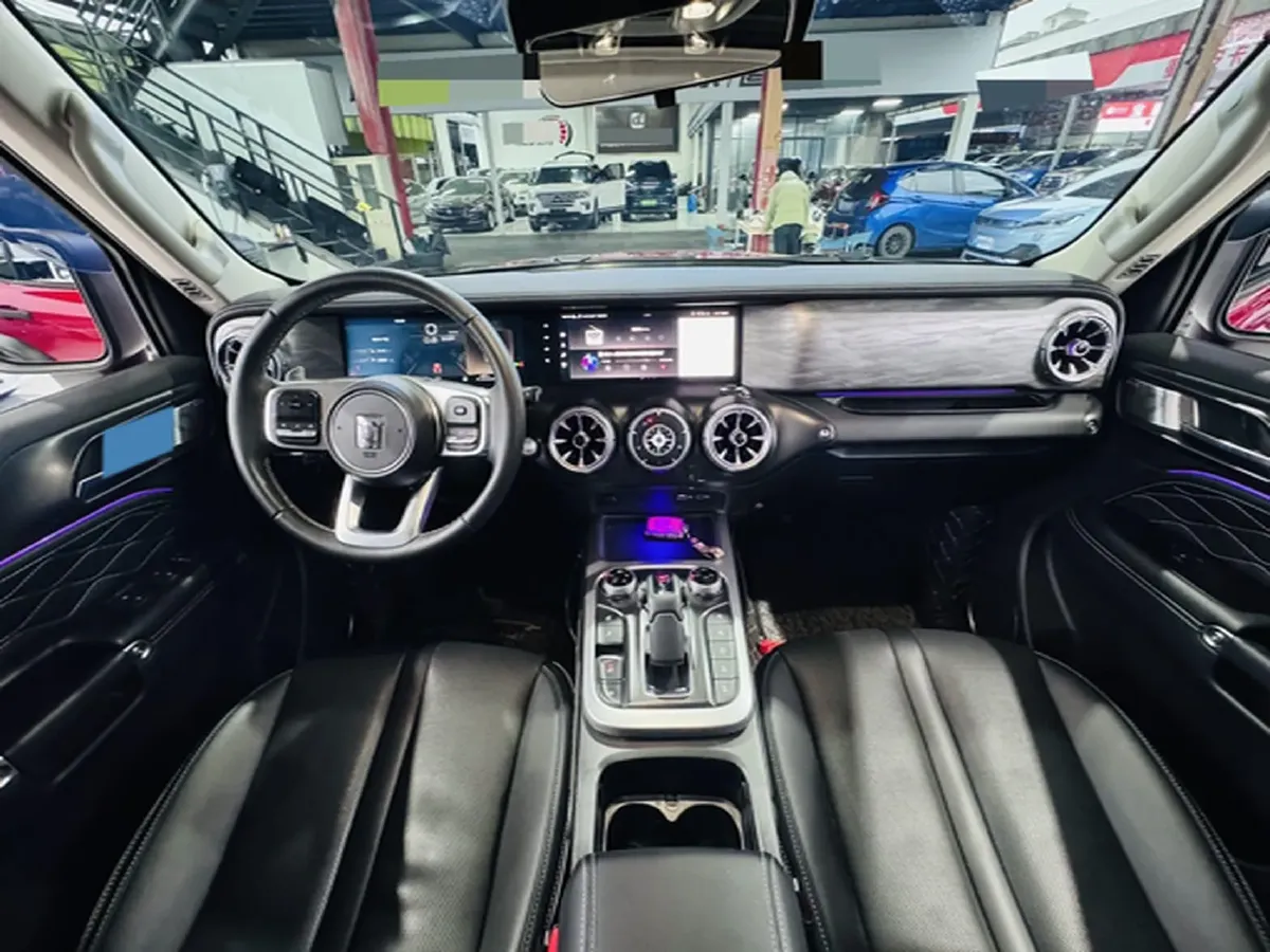 2021 Tank 300 2.0T 227HP L4 8AT,autocango,china used car exporter,china ev exporter,chinese used car exporter,chinese used ev exporter